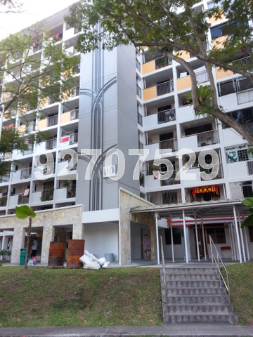 Blk 110 Commonwealth Crescent (Queenstown), HDB 3 Rooms #21831132